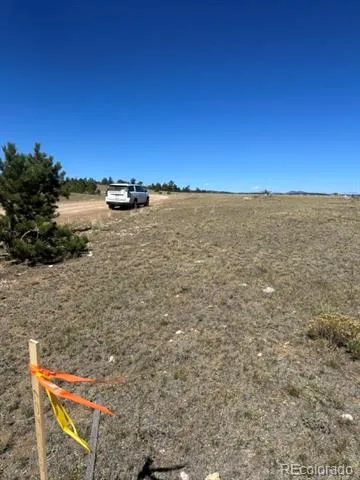 2418 Goldenburg Canyon Road Hartsel, CO 80449