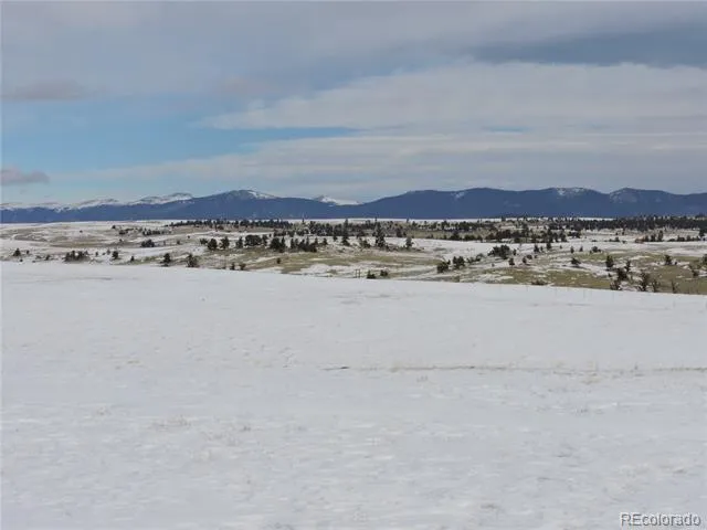 2418 Goldenburg Canyon Road Hartsel, CO 80449