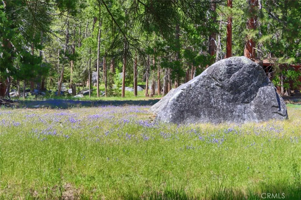 8067 Chilnualna Falls Road Wawona, CA 95389