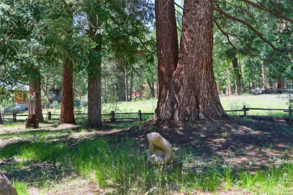 8067 Chilnualna Falls Road Wawona, CA 95389
