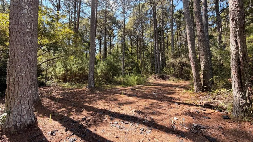2601 Gees Mill Road NE Conyers, GA 30013