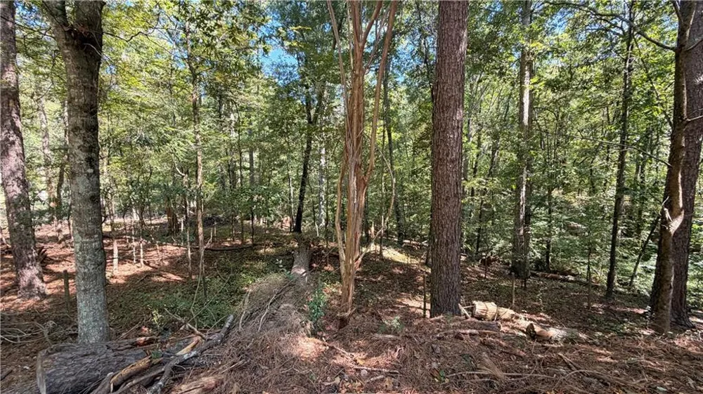 2601 Gees Mill Road NE Conyers, GA 30013