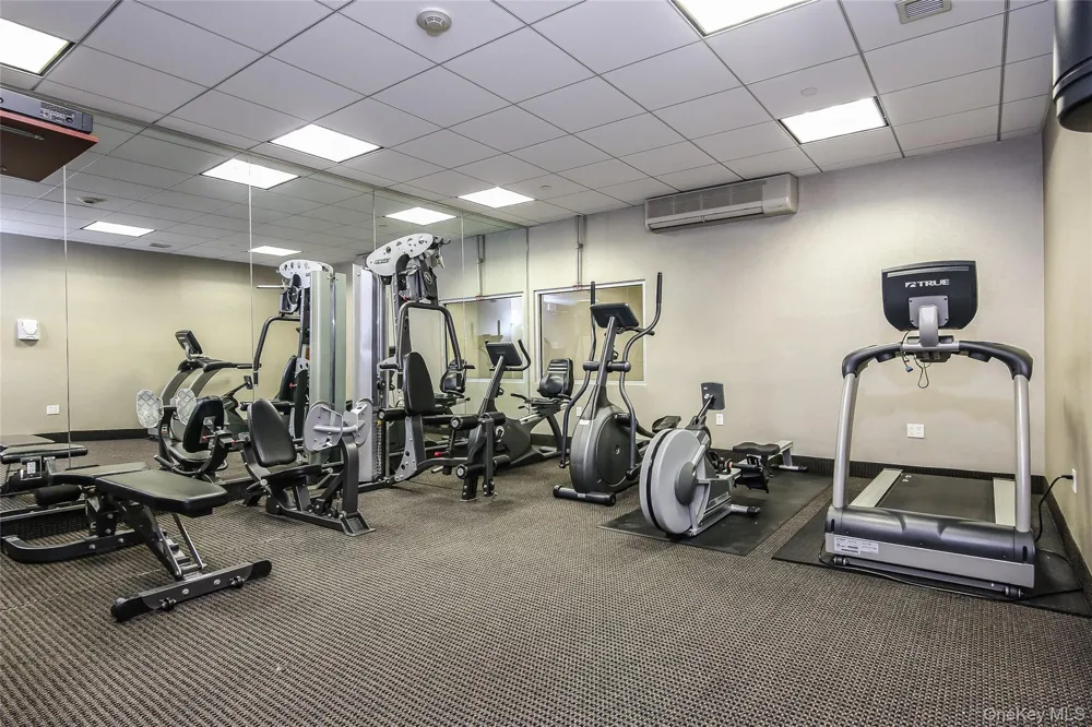 25 Leroy Place #PH7 New Rochelle, NY 10805
