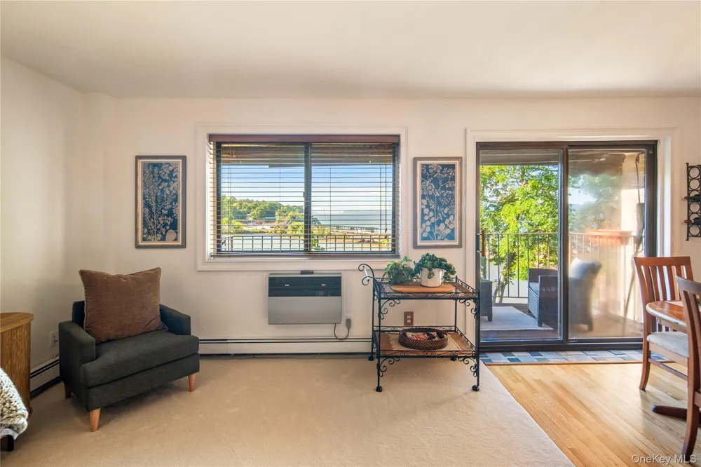 215 Kemeys Cove #215 Briarcliff Manor, NY 10510