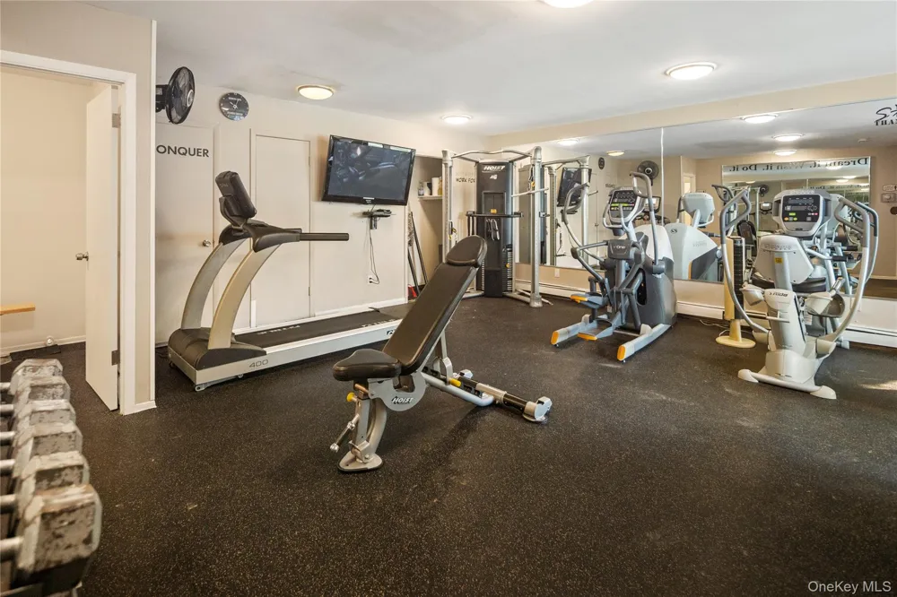 215 Kemeys Cove #215 Briarcliff Manor, NY 10510