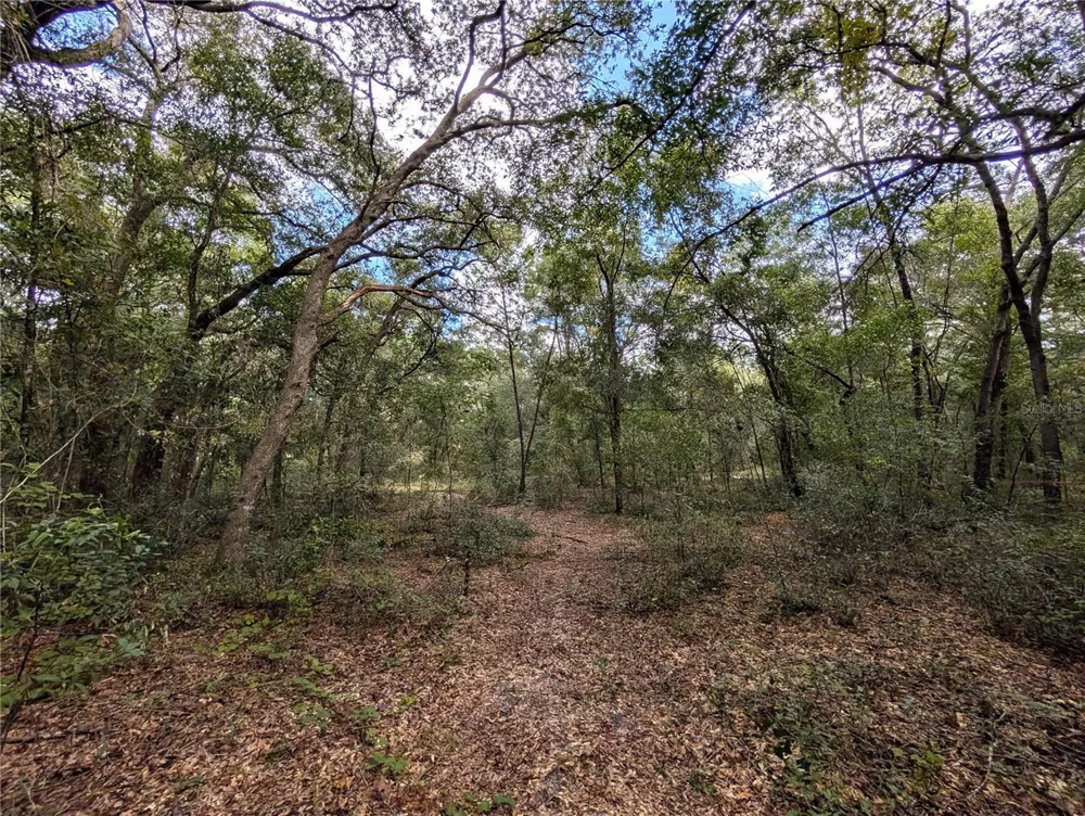 126 CHERRY DRIVE Pomona Park, FL 32181