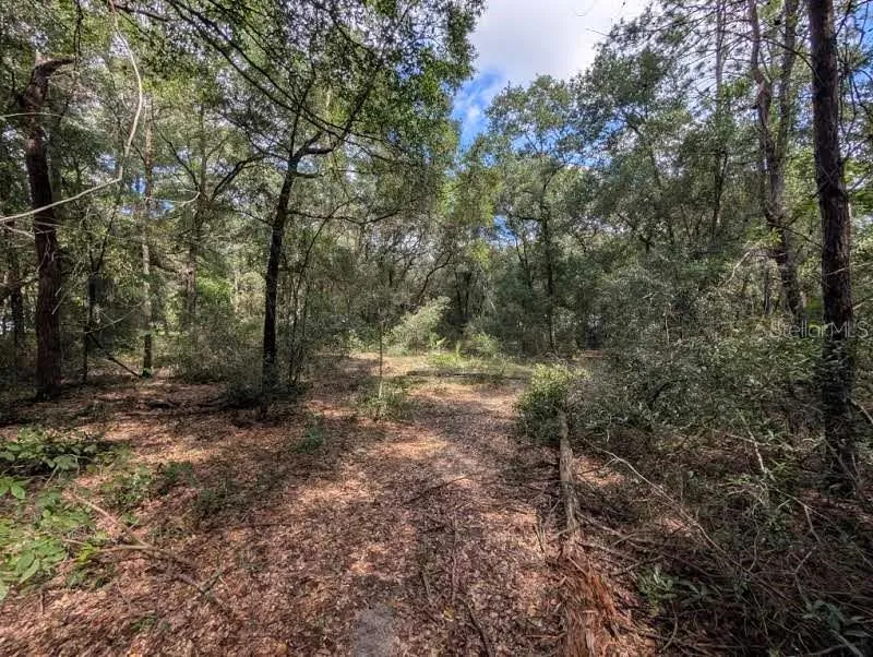 126 CHERRY DRIVE Pomona Park, FL 32181