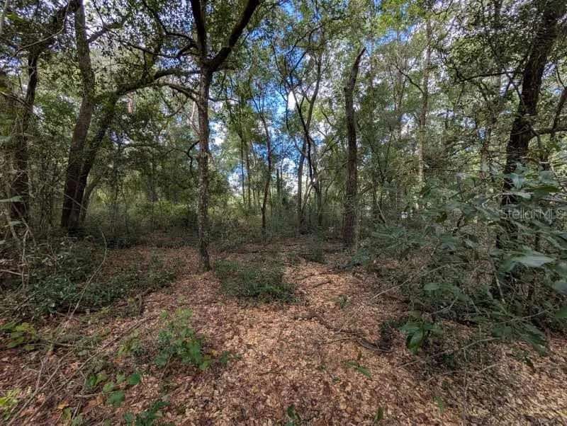 126 CHERRY DRIVE Pomona Park, FL 32181