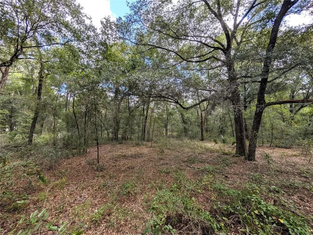 126 CHERRY DRIVE Pomona Park, FL 32181
