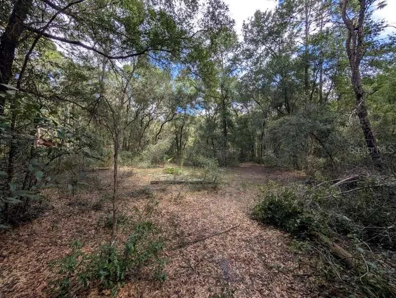 126 CHERRY DRIVE Pomona Park, FL 32181