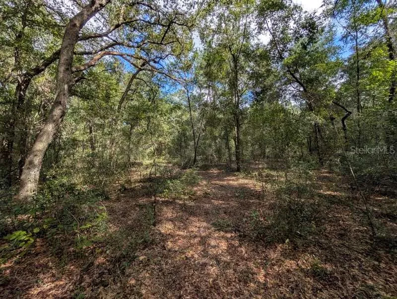 126 CHERRY DRIVE Pomona Park, FL 32181