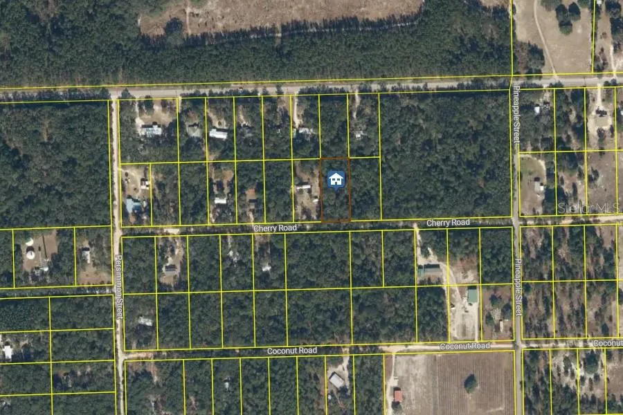 126 CHERRY DRIVE Pomona Park, FL 32181