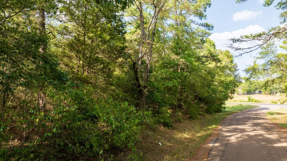 Fm-343 Rusk, TX 75785