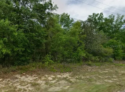 9223 JUSTA DRIVE