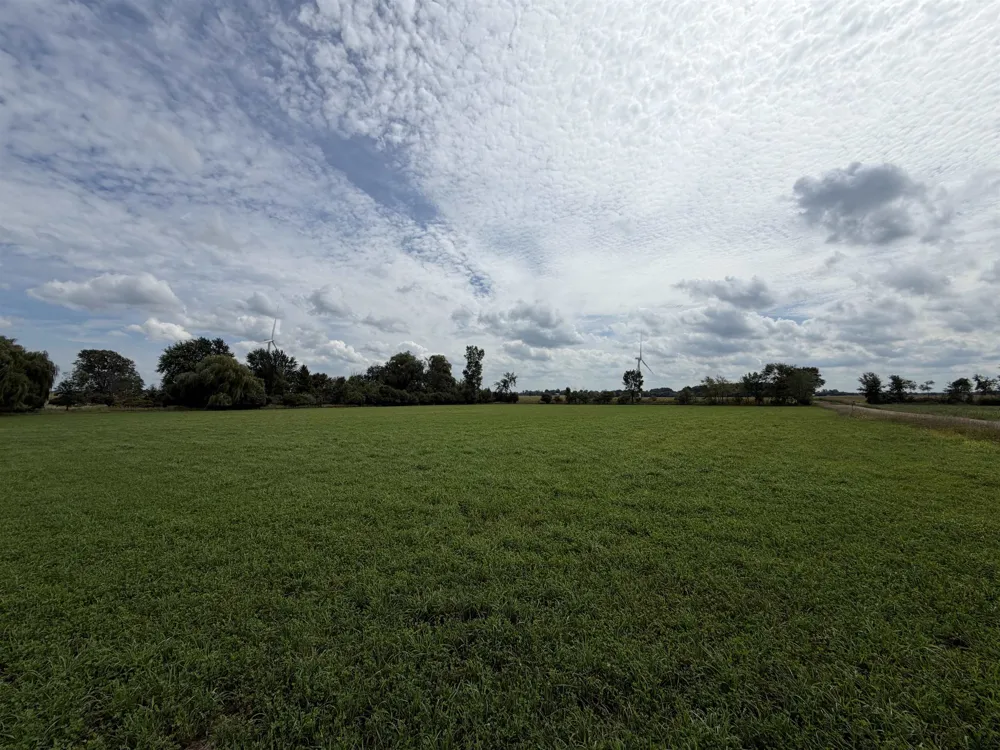 9000 Winans Road Pine River Township, MI 48801