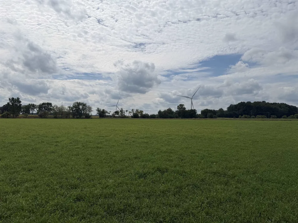 9000 Winans Road Pine River Township, MI 48801