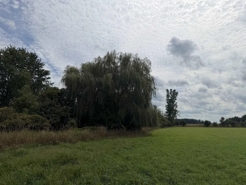 9000 Winans Road Pine River Township, MI 48801