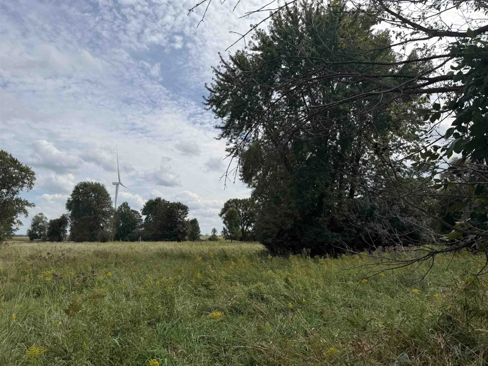 9000 Winans Road Pine River Township, MI 48801