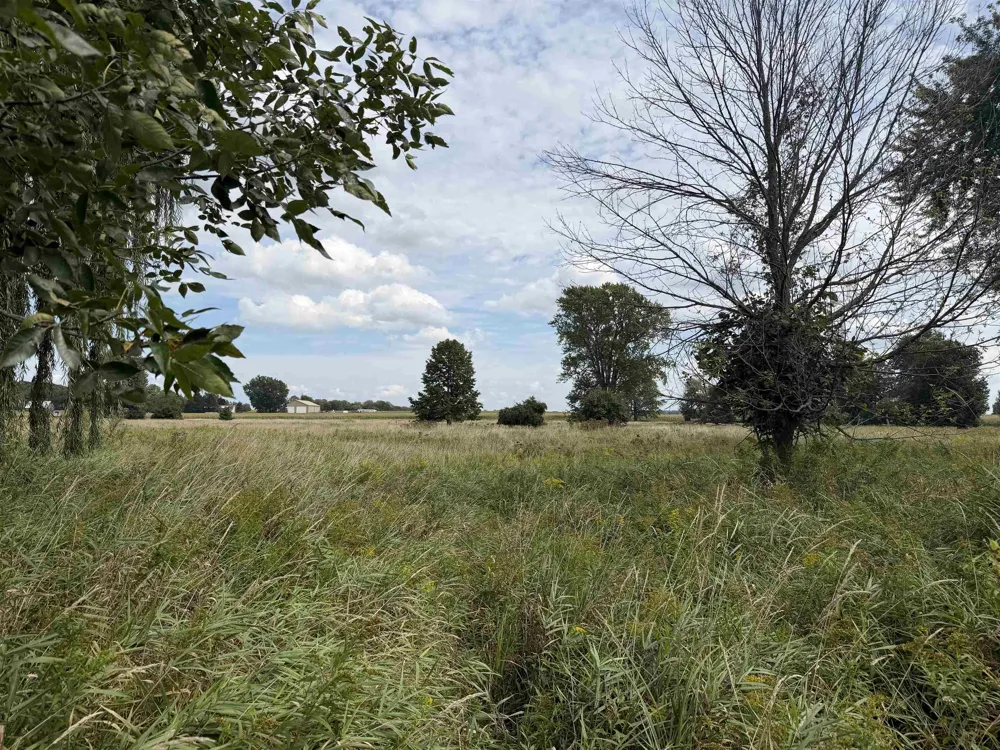 9000 Winans Road Pine River Township, MI 48801