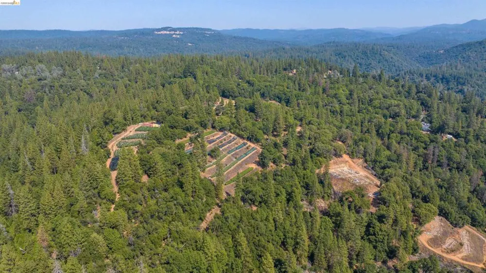 2883 Railroad Flat Rd Wilseyville, CA 95257