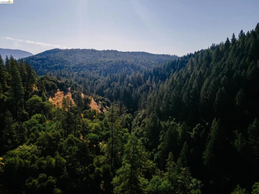 2883 Railroad Flat Rd Wilseyville, CA 95257