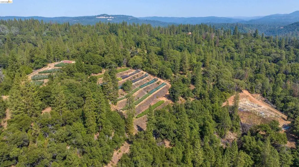 2883 Railroad Flat Rd Wilseyville, CA 95257