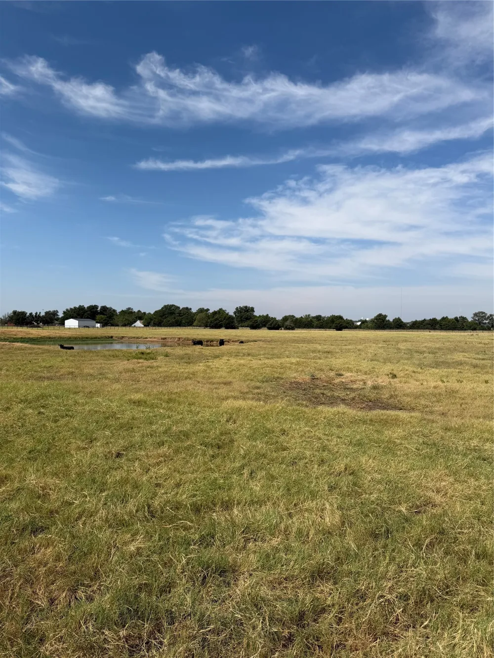 215 Batey Collinsville, TX 76233