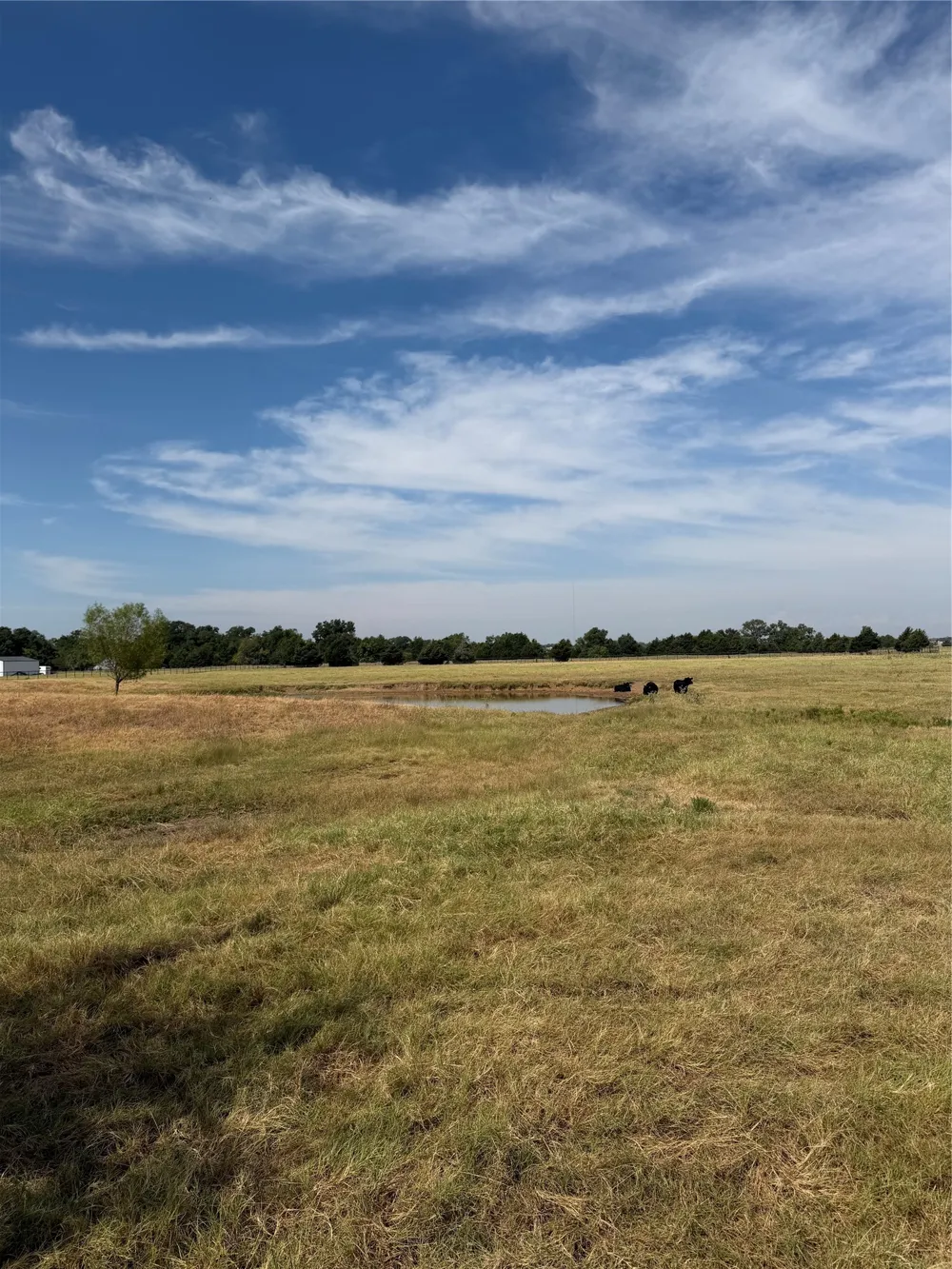 215 Batey Collinsville, TX 76233