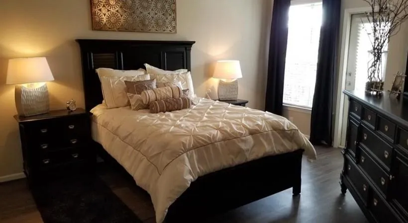 3102 W Bay Area Boulevard #207 Fredericksburg, TX 77546