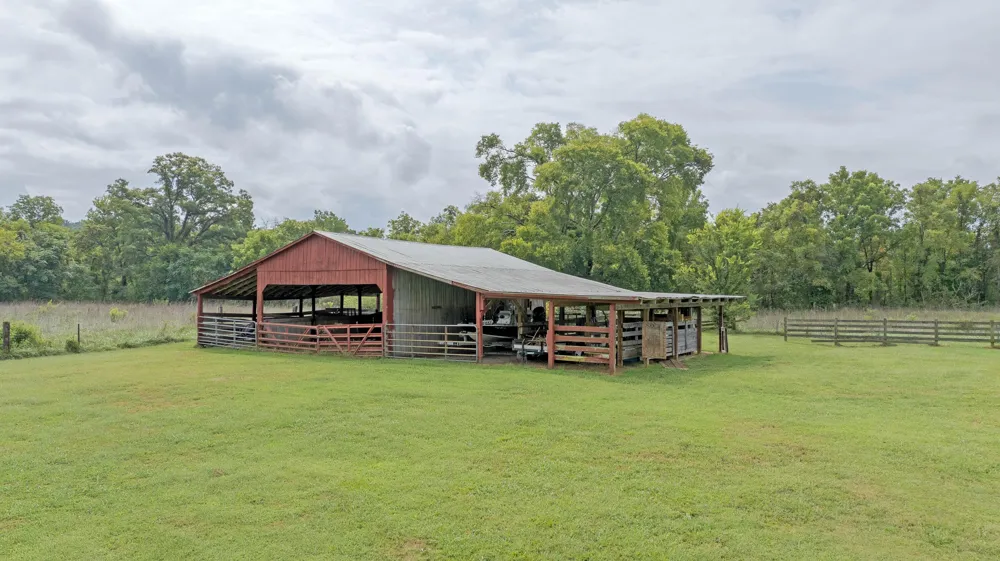 493 Sandtown Road Spring City, TN 37381