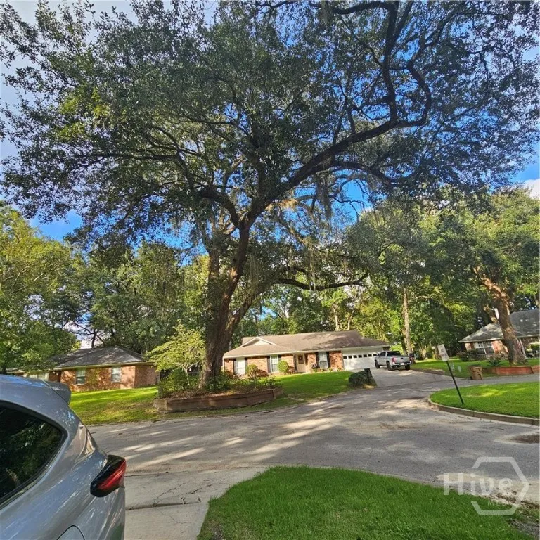 66 E Egrets Nest Lane Richmond Hill, GA 31324