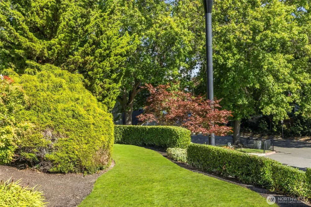 322 5th Avenue #302 Kirkland, WA 98033