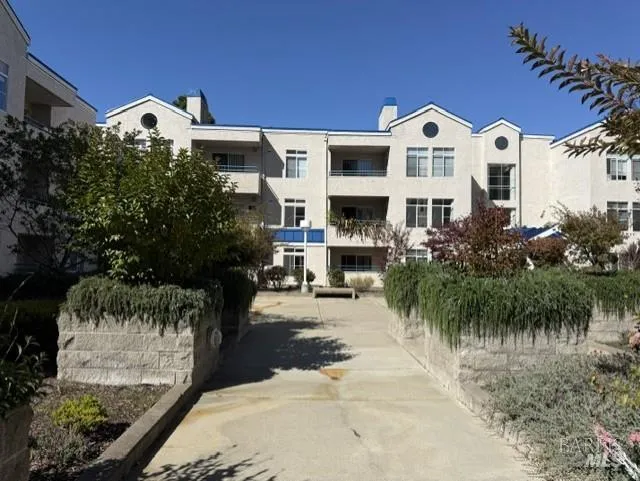 535 Pierce Street ##1216 Albany, CA 94706