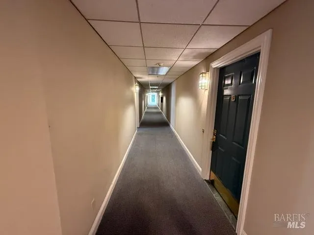 535 Pierce Street ##1216 Albany, CA 94706