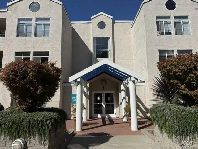 535 Pierce Street ##1216 Albany, CA 94706