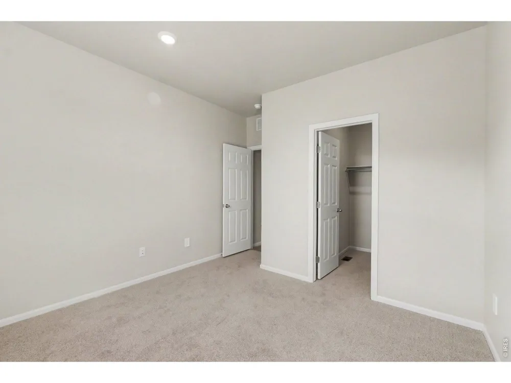 1629 Yampa River Drive Windsor, CO 80550