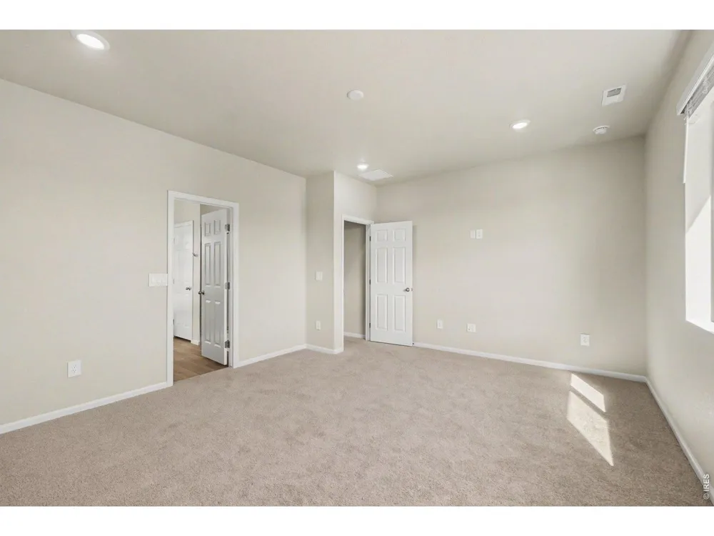 1629 Yampa River Drive Windsor, CO 80550