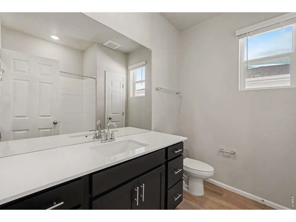 1629 Yampa River Drive Windsor, CO 80550