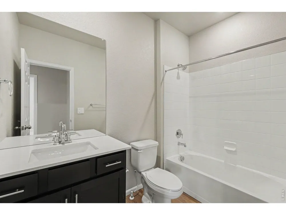1629 Yampa River Drive Windsor, CO 80550