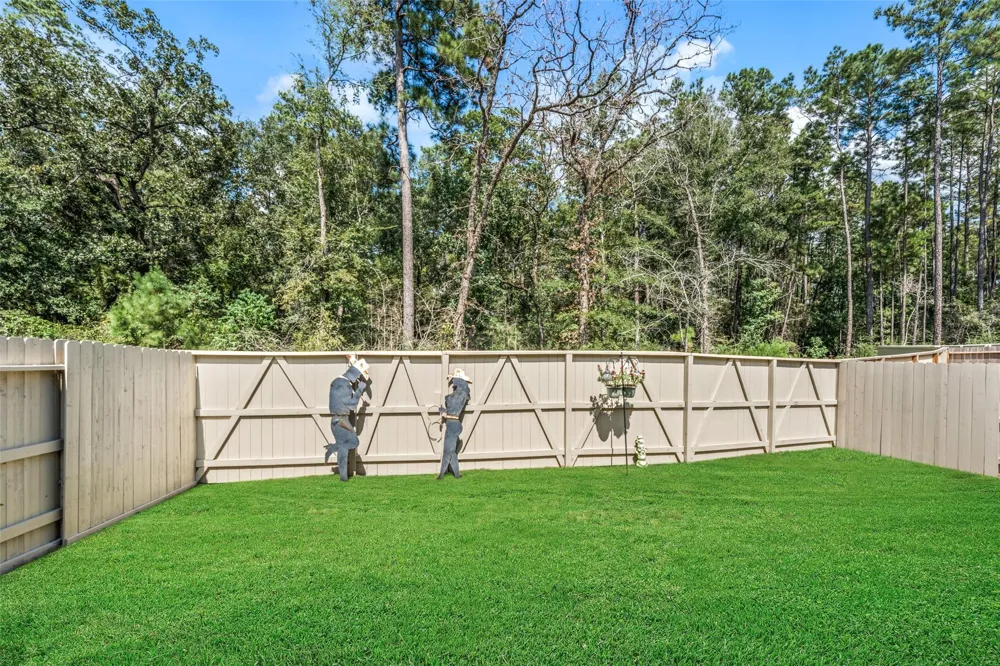 489 Audubons Shearwater Way Magnolia, TX 77354
