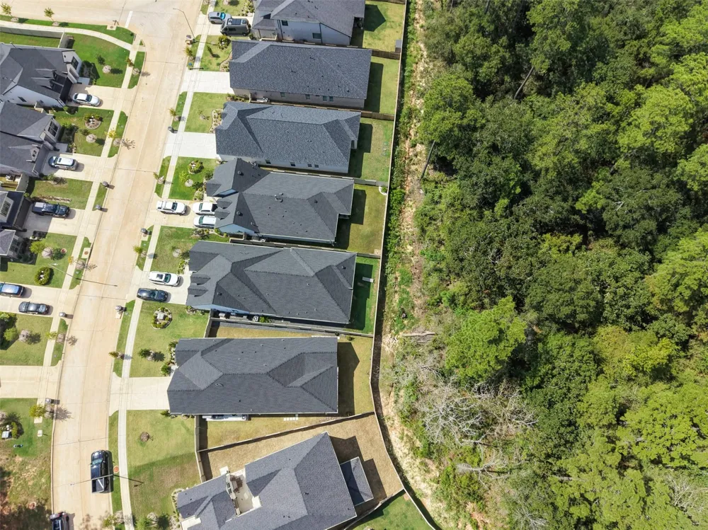 489 Audubons Shearwater Way Magnolia, TX 77354