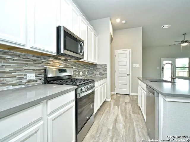 10019 Briceway Gap San Antonio, TX 78254
