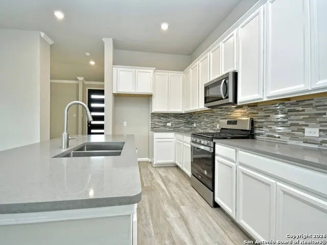 10019 Briceway Gap San Antonio, TX 78254