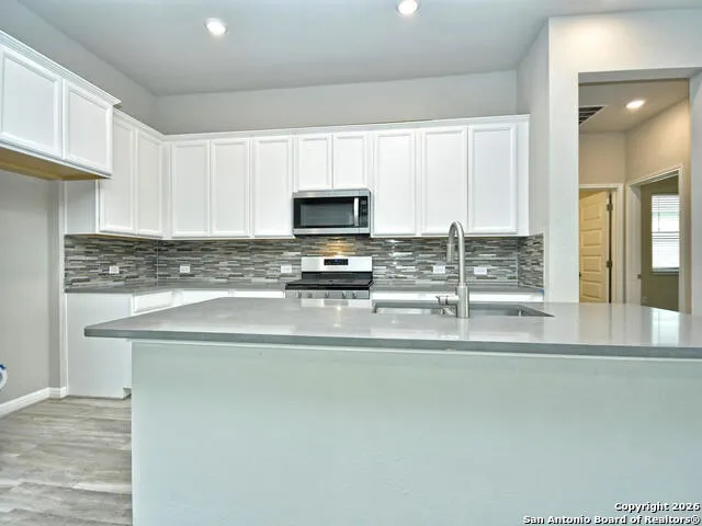 10019 Briceway Gap San Antonio, TX 78254