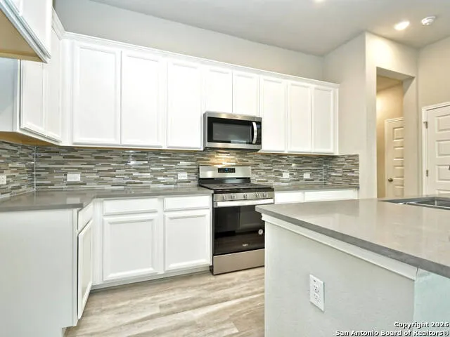 10019 Briceway Gap San Antonio, TX 78254