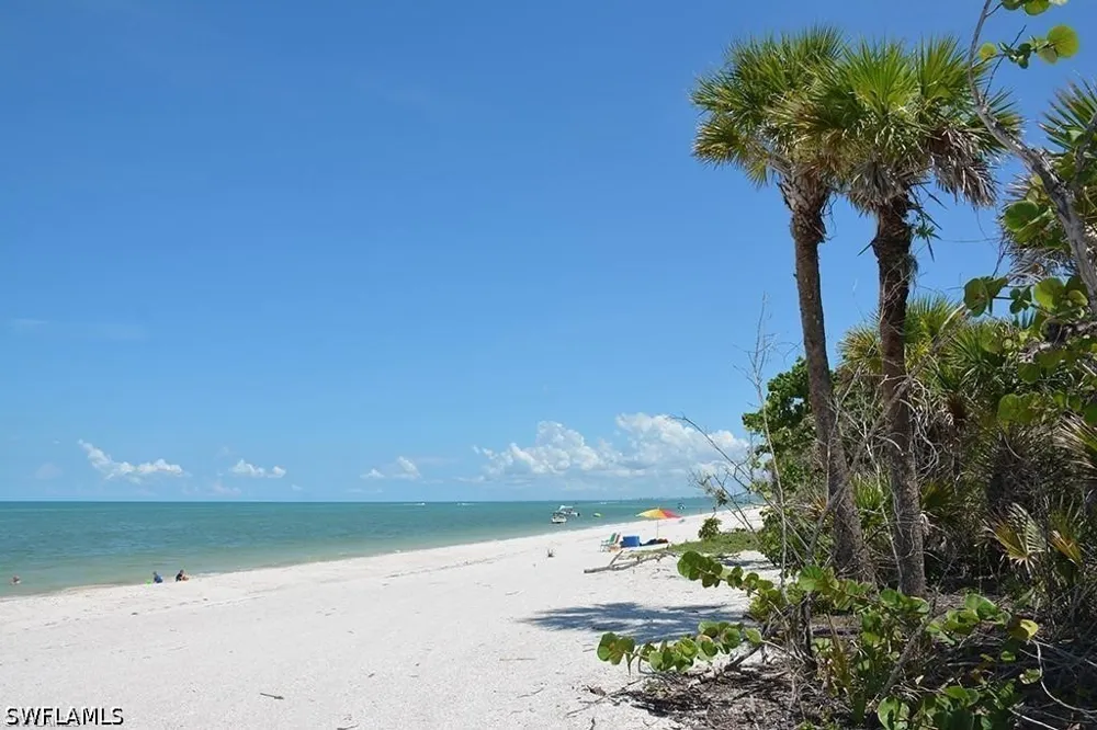 Vine Avenue Naples, FL 34120