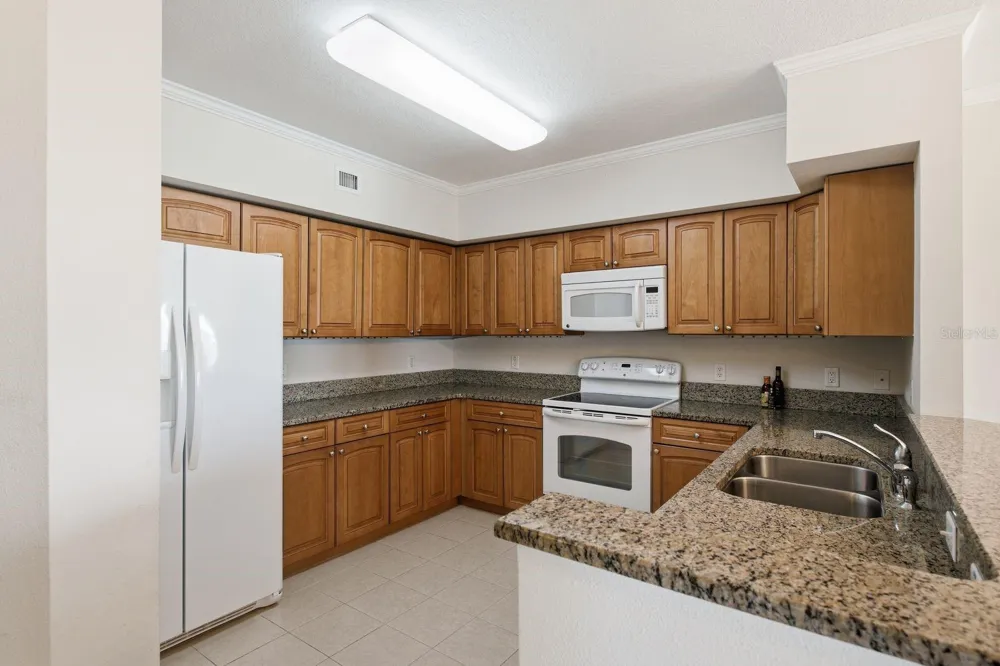 4516 SEAGULL DRIVE #701 New Port Richey, FL 34652