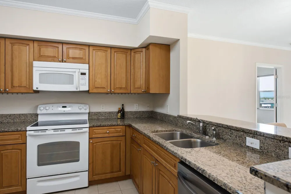 4516 SEAGULL DRIVE #701 New Port Richey, FL 34652
