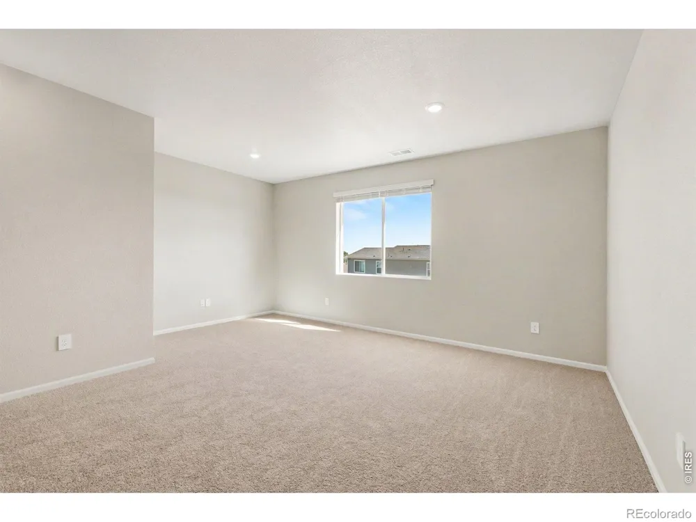 1629 Yampa River Drive Windsor, CO 80550