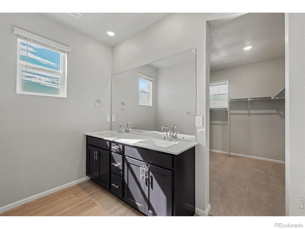 1629 Yampa River Drive Windsor, CO 80550